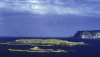 Whiten_Head.gif (100889 bytes)